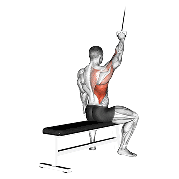 alternate lateral pulldown