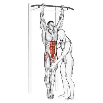 assisted hanging knee raise