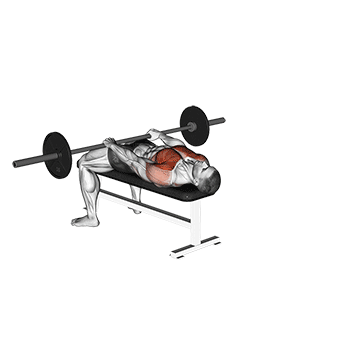 barbell front raise and pullover