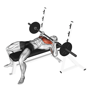 barbell guillotine bench press