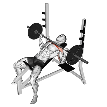 barbell incline bench press