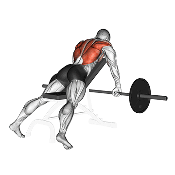 barbell incline row