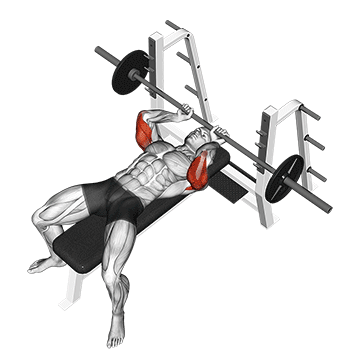 barbell lying extension