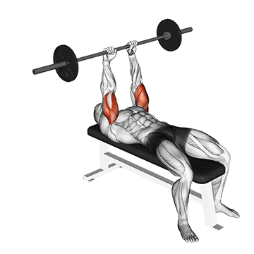barbell lying triceps extension