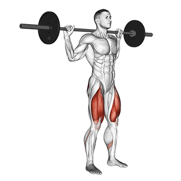 barbell narrow stance squat