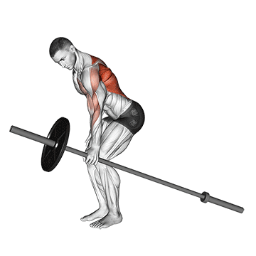 barbell one arm bent over row