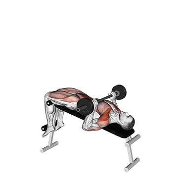 barbell press sit-up