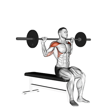 barbell seated behind head military press
