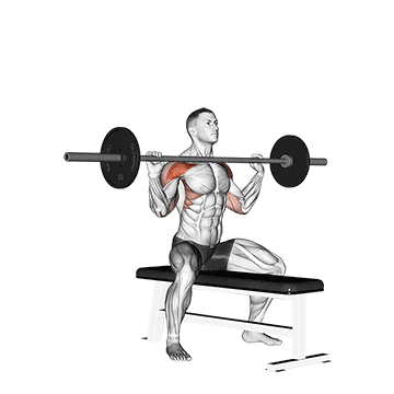 barbell seated overhead press