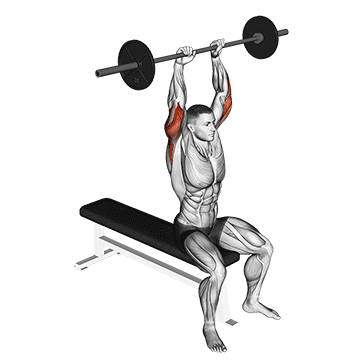 barbell seated overhead triceps extension