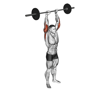 barbell standing overhead triceps extension