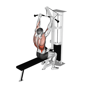 cable bar lateral pulldown