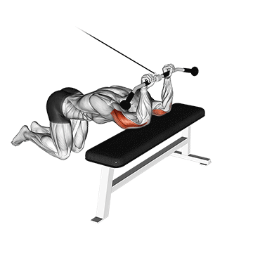 cable kneeling triceps extension