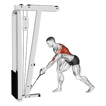 cable one arm bent over row
