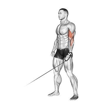 cable one arm curl