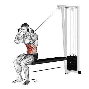 cable seated crunch