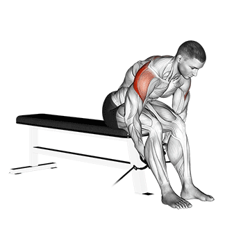 cable seated rear lateral raise