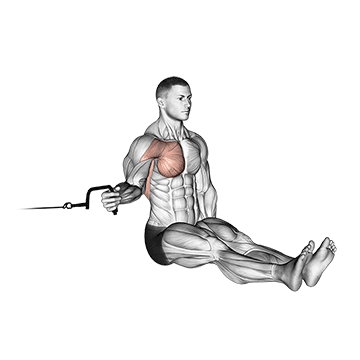 cable seated shoulder internal rotation