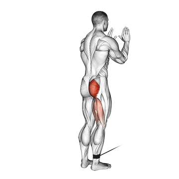 cable standing hip extension