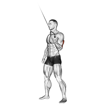 cable standing one arm triceps extension
