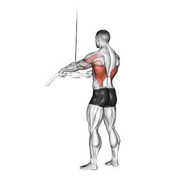 cable straight arm pulldown