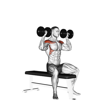 dumbbell bench seated press