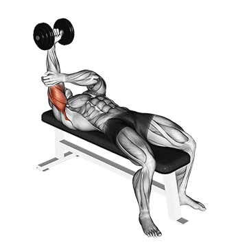 dumbbell lying one arm pronated triceps extension