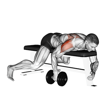 dumbbell lying one arm rear lateral raise