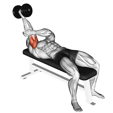 dumbbell lying one arm supinated triceps extension