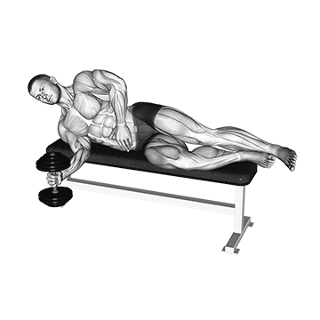 dumbbell lying supination