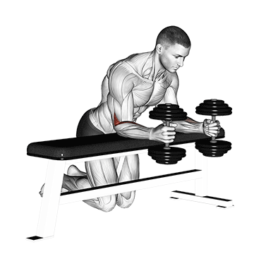 dumbbell over bench neutral wrist curl