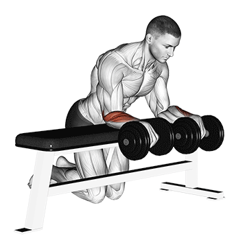 dumbbell over bench wrist curl