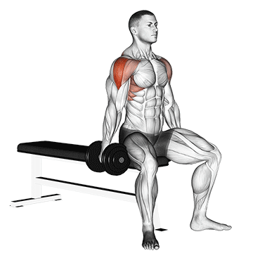 dumbbell seated lateral raise