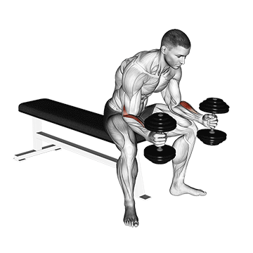 dumbbell seated neutral wrist curl