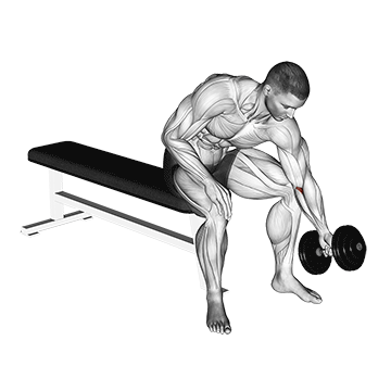 dumbbell seated one arm rotate