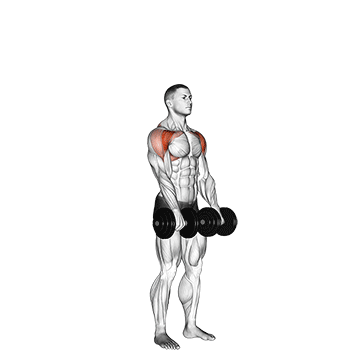 dumbbell standing front raise above head