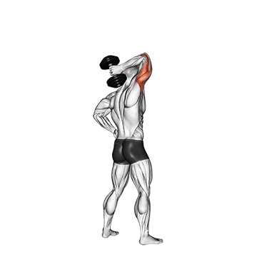 dumbbell standing one arm extension