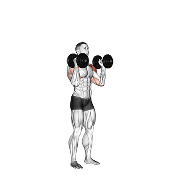dumbbell standing palms in press