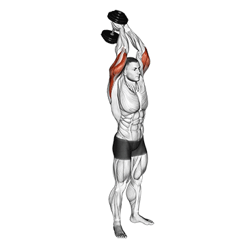 dumbbell standing triceps extension
