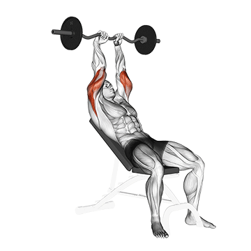 ez barbell incline triceps extension