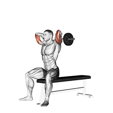 ez barbell seated triceps extension