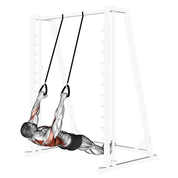 inverted row with straps