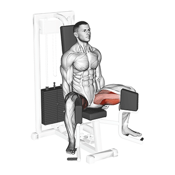 lever seated hip adduction