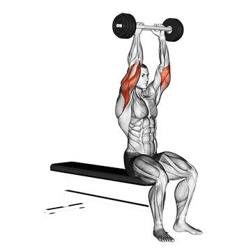 olympic barbell triceps extension