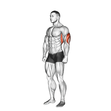 overhead triceps stretch