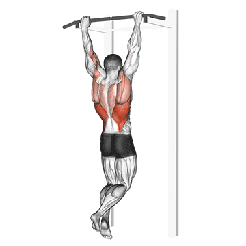 rocky pull-up pulldown