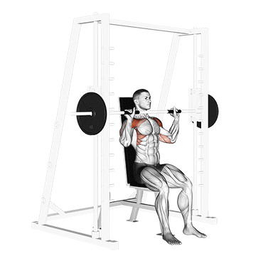 smith seated shoulder press