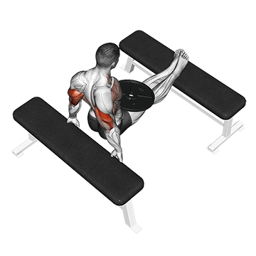 weighted bench dip