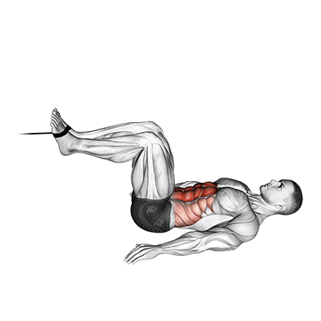 cable reverse crunch