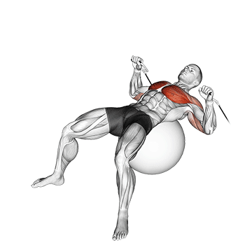 cable press on exercise ball